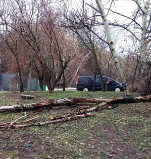 У Києві вітер повалив кілька десятків дерев (фото) Сильний вітер повалив у Києві кілька десятків дерев