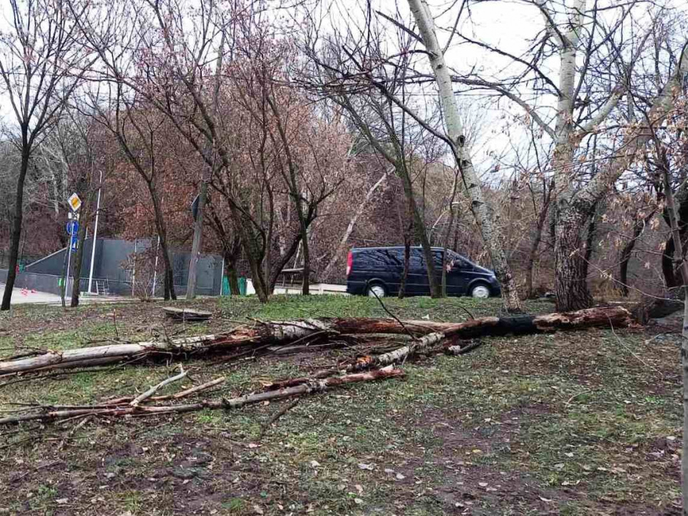 Сильний вітер повалив у Києві кілька десятків дерев