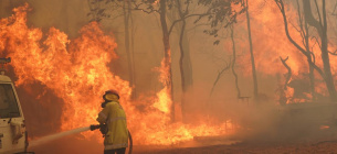 Вогонь в Австралії знищив 81 будинок