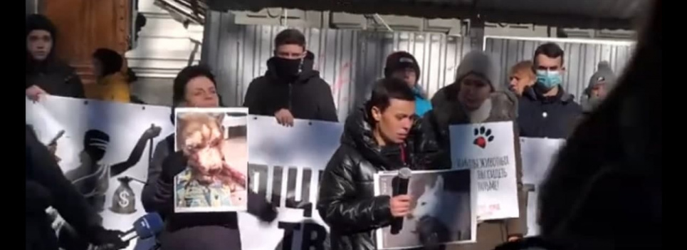 Одесса восстала против живодеров, продолжаются протесты (видео) Одесситы пришли под здание полиции, чтобы наказать обидчика хаски Марса