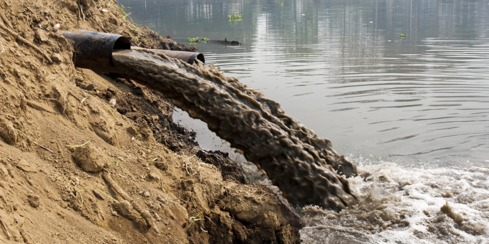 У Тернопільській області підприємство забруднило довкілля «мертвою» водою