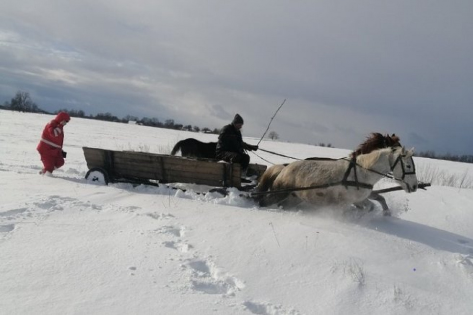 На Житомирщині через непочищені дороги дівчинку до лікарів везли на конях (фото) Дівчинку везли до лікарів на підводі, запряженій конем