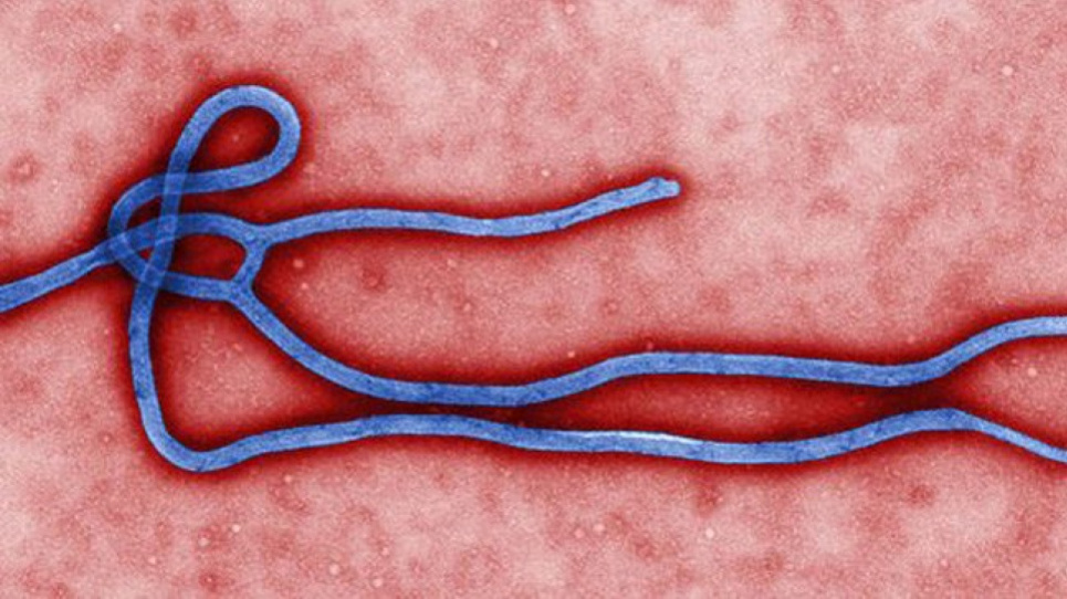 Новые случаи Эболы в Гвинее