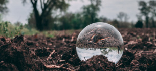 В Минэнерго хотят преодолеть энергокризис с помощью торфа Минэнерго хочет возродить добычу торфа на территории Украины