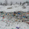 Тонны львовского мусора выбросили в поле