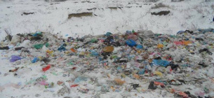 Тонни львівського сміття викинули у полі