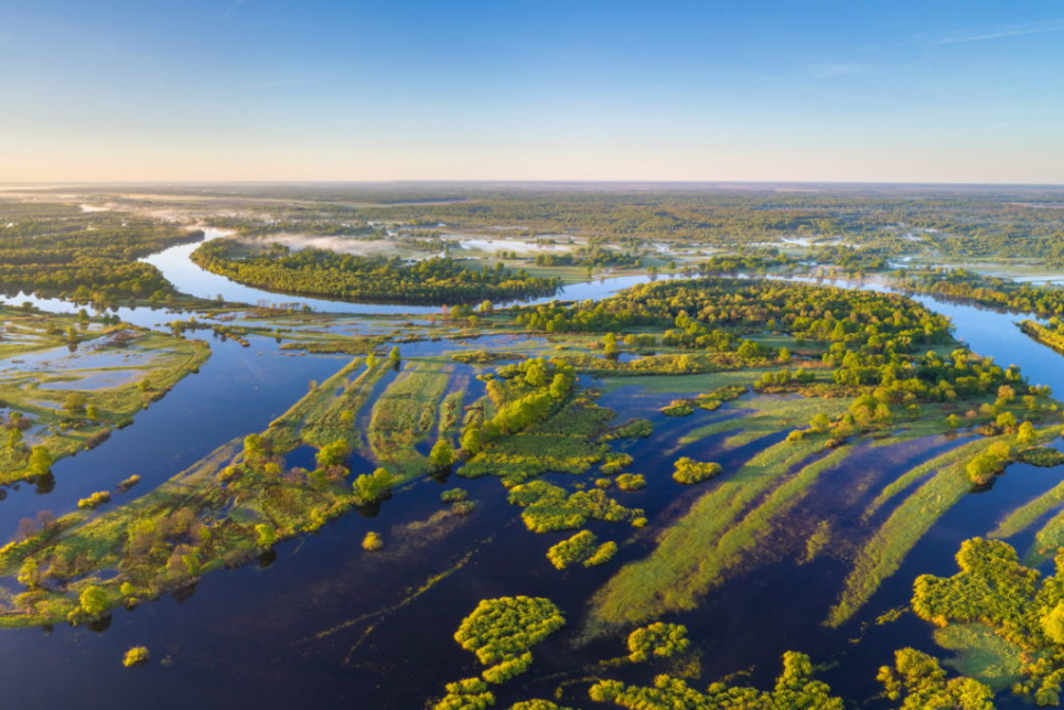В случае построения мегаканала Гданьск-Херсон (Е40) эта красота будет уничтожена. Украинское Полесье. Фото с сайта https://savepolesia.org/ (© Daniel Rosengren / FZS) 