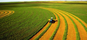 Експерти спрогнозували вартість гектара після відкриття ринку землі в Україні
