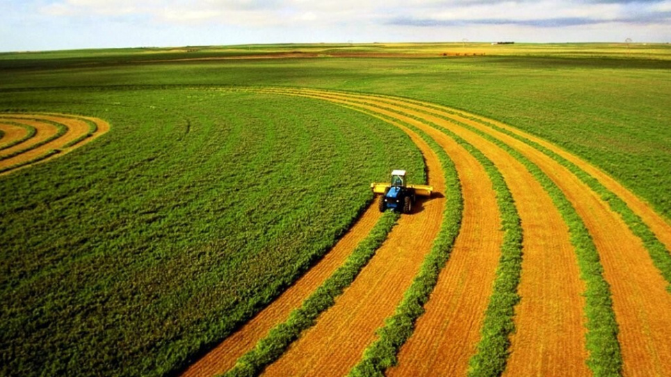 Експерти спрогнозували вартість гектара після відкриття ринку землі в Україні
