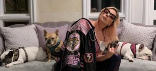 У співачки Леді Гаги викрали собак