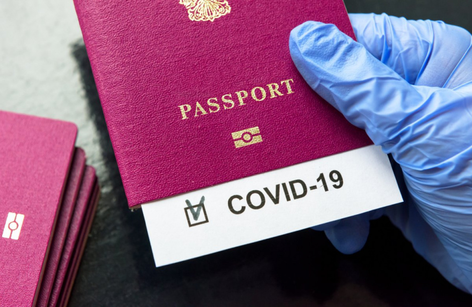 В ВОЗ до сих пор не пришли к общему мнению о необходимости ковид-паспортов 
