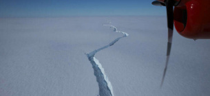  А йсберг может уйти от континента или сесть на мель и остаться рядом с ледником
