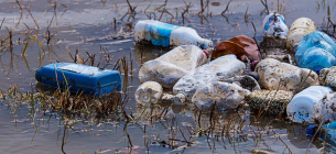 В реку Тиса попадают тонны отходов из несанкционированных свалок 