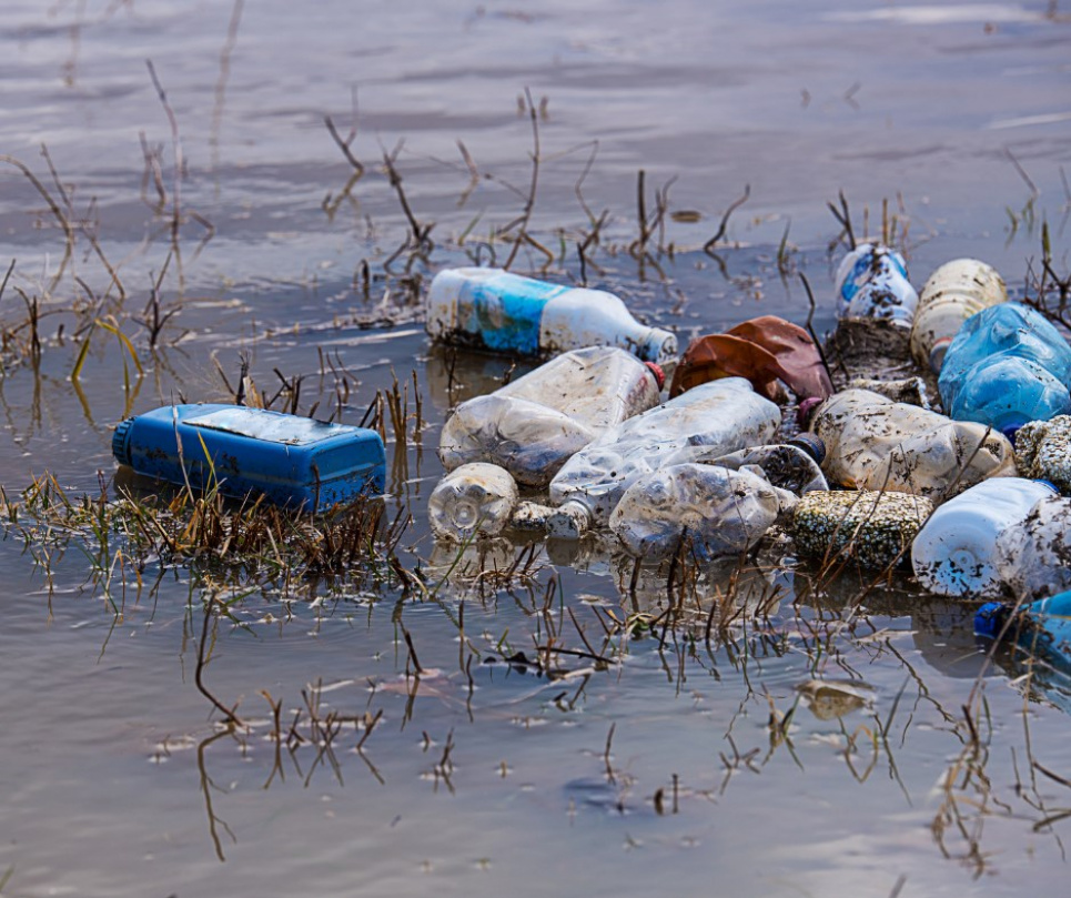 До річки Тиса потрапляють тони відходів із несанкціонованих сміттєзвалищ