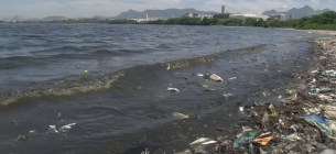 Самі відомі пляжі вкрили тонни пластикового сміття