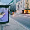 Стартовала новая компания по защите животных