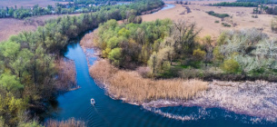 Горить українська Амазонія, масово гинуть тварини і птахи