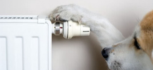 Жителям столичной многоэтажки пришли платежки за тепло: почти по 100 гривен за кв.метр Мешканцям столичної багатоповерхівки прийшли платіжки за тепло: майже по 100 гривень за один кв.метр