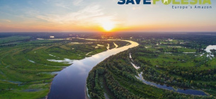 Екологи закликають підписати петицію про збереження природи та річок Полісся