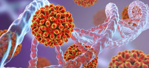 Які 7 вірусів здатні викликати рак в людини