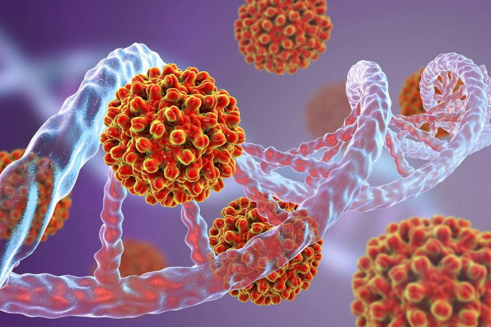 Які 7 вірусів здатні викликати рак в людини