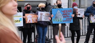 Зоозащитники требуют от народных депутатов принять законы в защиту диких и бездомных животных 
