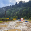 Экологи говорили о том, как спасти украинские леса 
