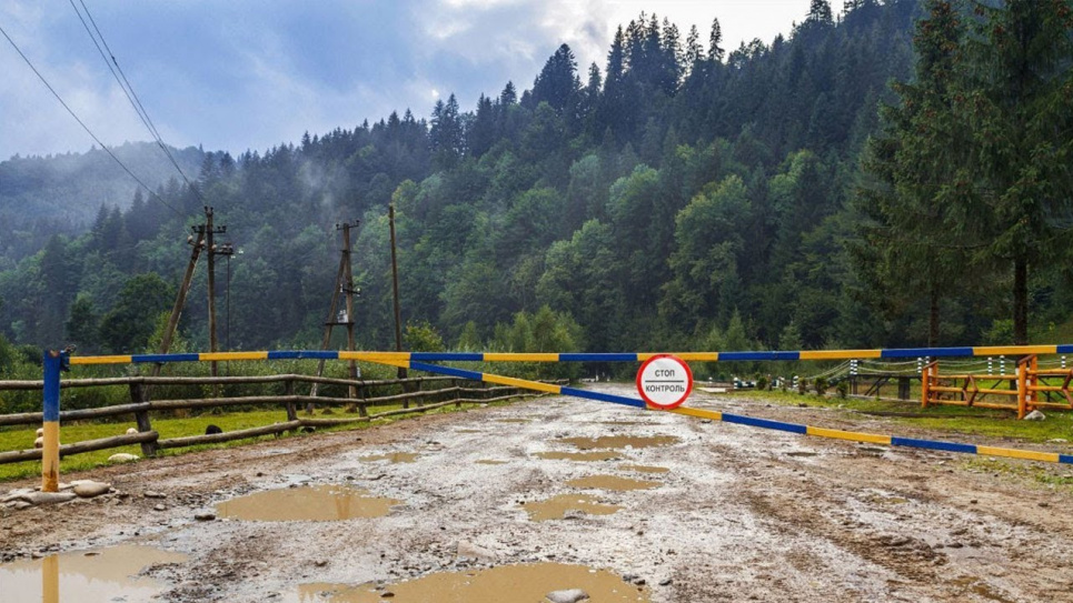 Екологи говорили про те, як врятувати українські ліси