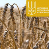 У государственного предприятия уже сегодня может измениться руководитель 