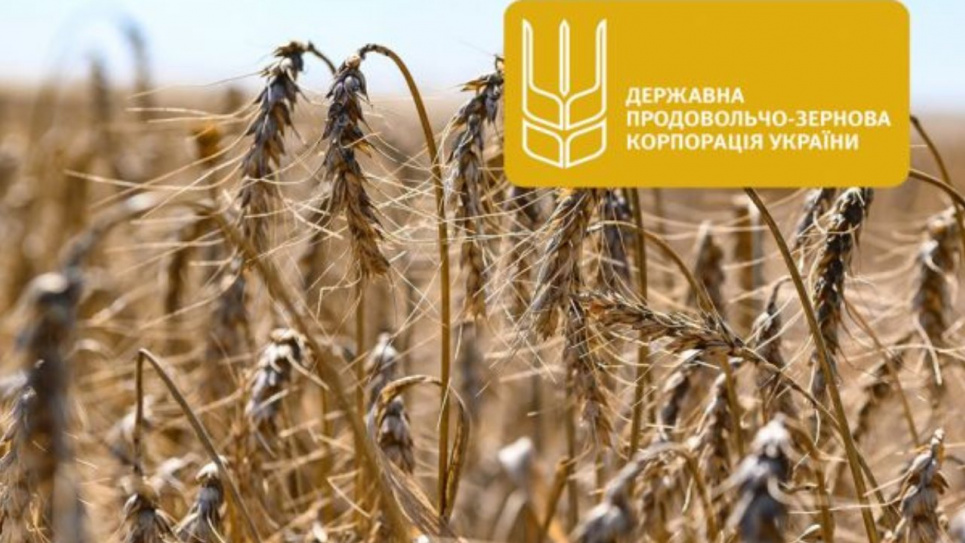 Директор Государственной продовольственно-зерновой корпорации под угрозой увольнения — Гончаренко У государственного предприятия уже сегодня может измениться руководитель