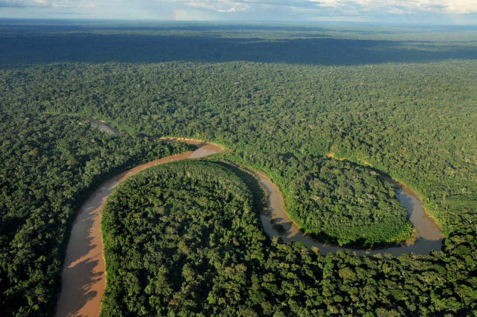 За 17 лет на планете люди уничтожили треть тропических лесов