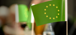 Если Украина не будет выполнять требования европейского зеленого курса, то может подвергнуться опасности 