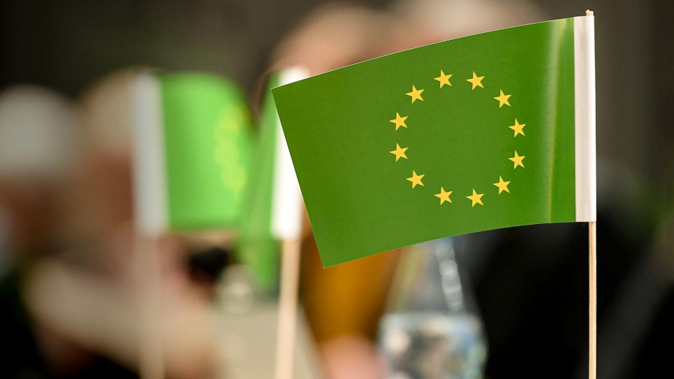 Якщо Україна не буде виконувати вимоги європейського зеленого курсу, то може наразитися на ризики