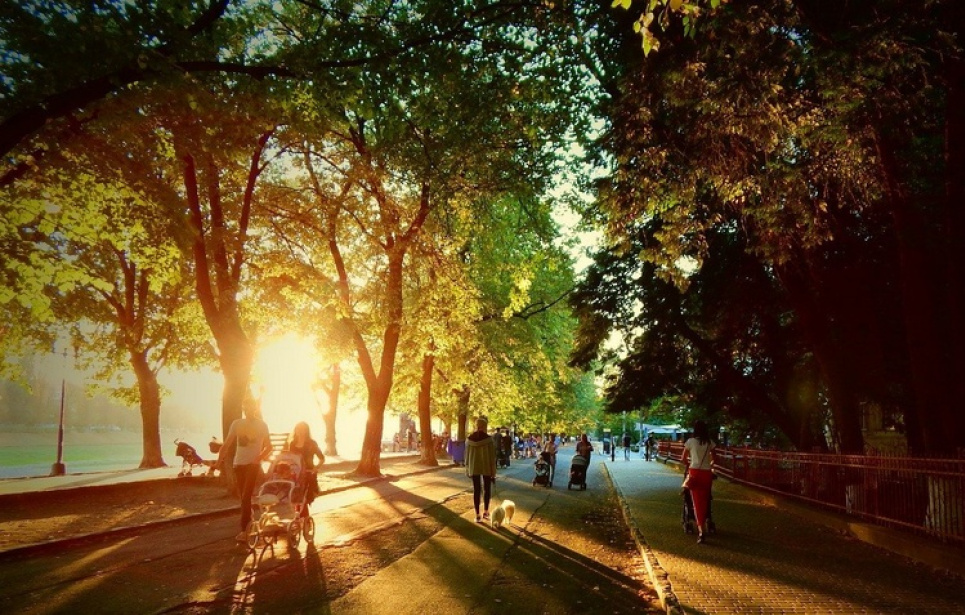 Что делать, чтобы спасти мир: практические действия, которые может делать каждый из нас для улучшения экологии Что делать, чтобы спасти мир: практические действия, которые может делать каждый из нас для улучшения экологии.