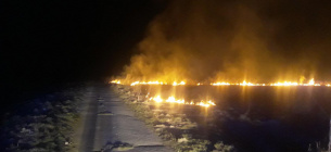 В Україні понад 100 пожеж за останню добу: підпали сухостою, очерету, сміття. Є жертви