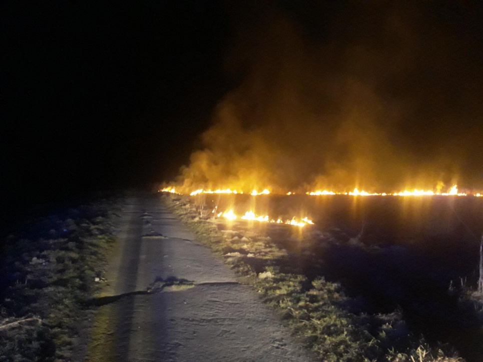 В Україні понад 100 пожеж за останню добу: підпали сухостою, очерету, сміття. Є жертви