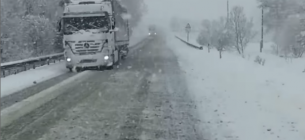 На Львівщині раптово випав сніг 