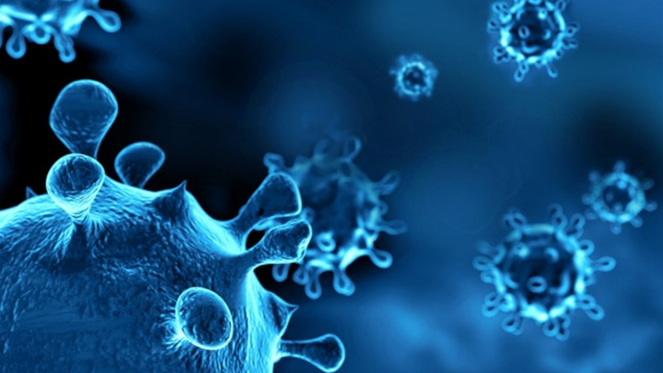 У ВООЗ оприлюднили звіт про появи коронавірусу на світ 
