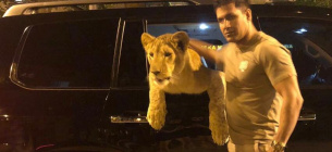 Харківський депутат задекларував живого африканського лева 