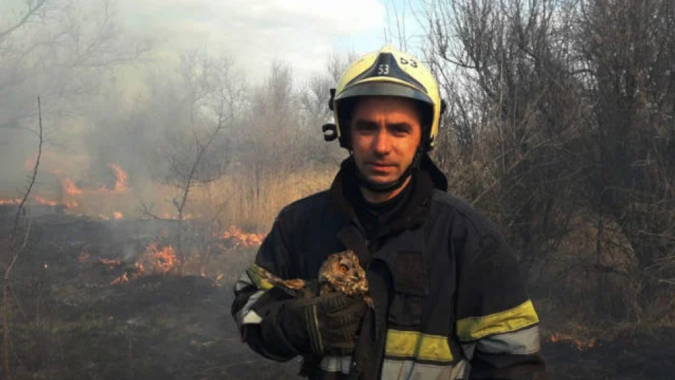 На Дніпропетровщині врятували совеня, яке постраждало через підпал