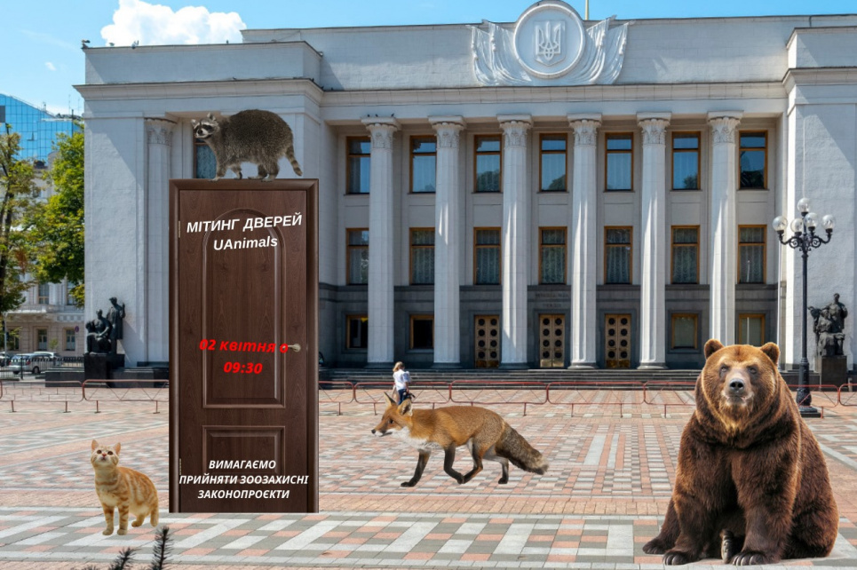 Зоозахисники збираються під Верховну Раду на «мітинг дверей» Екоактивісти закликають прийти на незвичайний мітинг, що відстояти права тварин