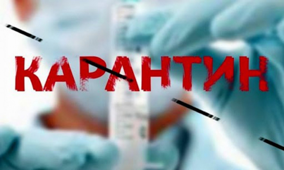 «Ми прощаємося з обмеженнями» - Данія скасовує всі карантинні обмеження В Україні 11 "червоних" і 13 "помаранчевих" зон: МОЗ оновило зонування