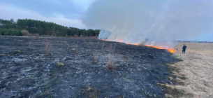 В Киевской области из-за поджога сухостоя едва не сгорело село