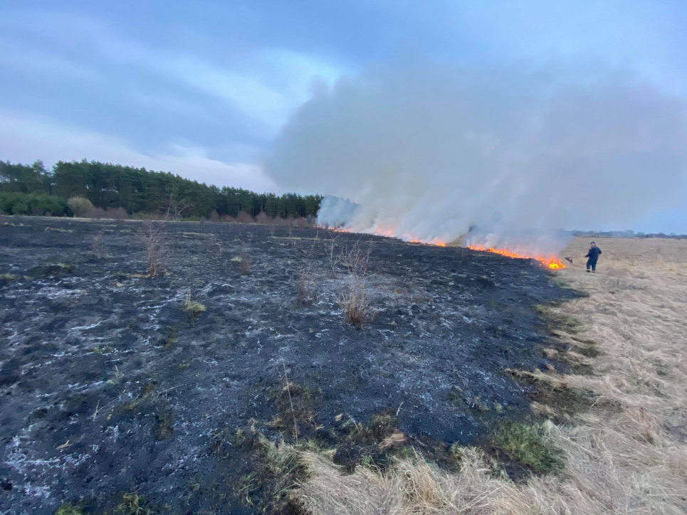 В Київській області через підпал сухостою ледь не згоріло село