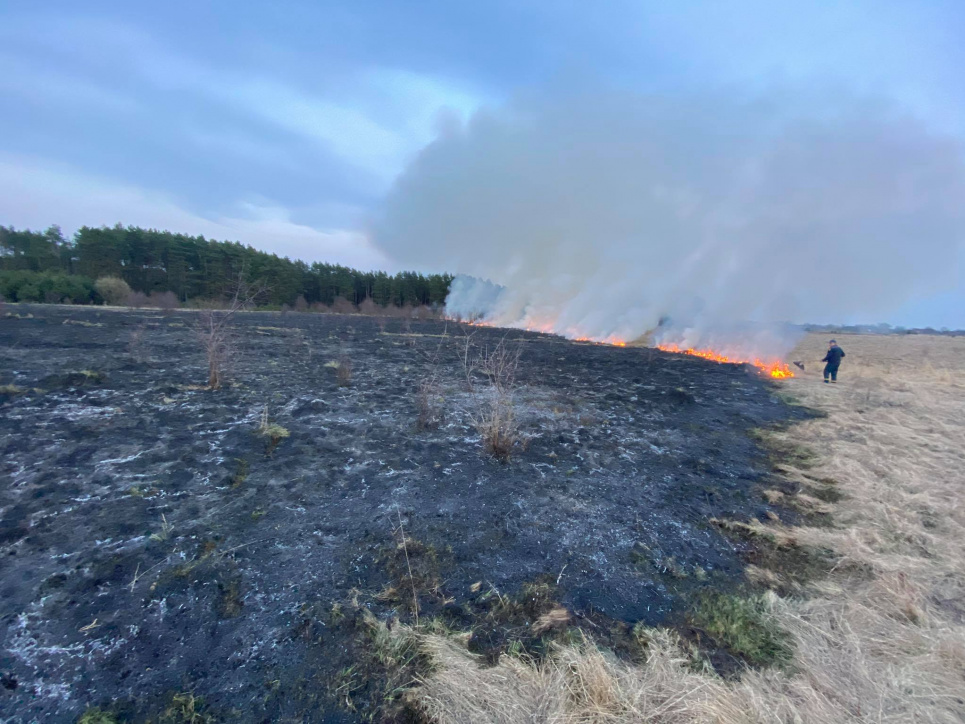 В Киевской области из-за поджога сухостоя едва не сгорело село (ВИДЕО) В Киевской области из-за поджога сухостоя едва не сгорело село
