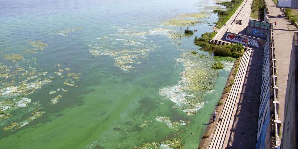 Чим для українців небезпечне цвітіння водойми Річка, яка в спеку почала "цвісти", може бути небезпечною для людини
