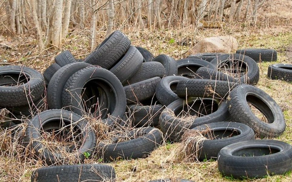 У Києві комунальники вивезли десятки автомобільних шин у ліс (фото) Сотні небезпечних відходів опинилися просто неба з вини столичних комунальників