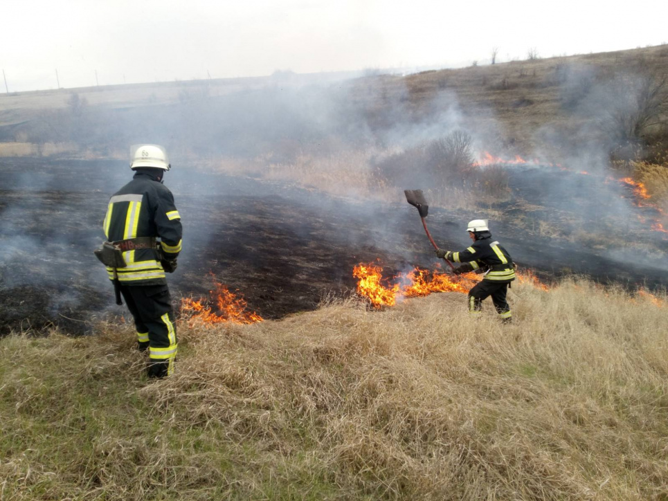 В Україні за добу сталося 195 пожеж на полях та уздовж магістралей, найбільше — на Донеччині