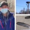 Неадекват ради развлечения застрелил аиста 