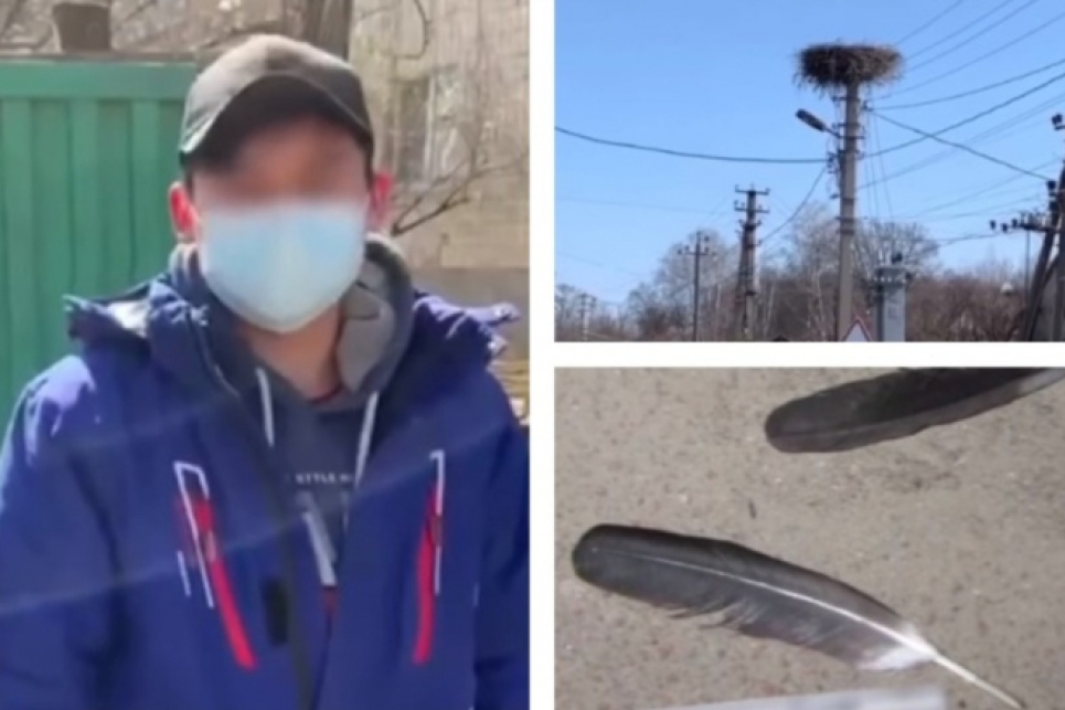 Під Києвом молодик заради розваги застрелив лелеку (відео) Молодик заради розваги застрелив лелеку